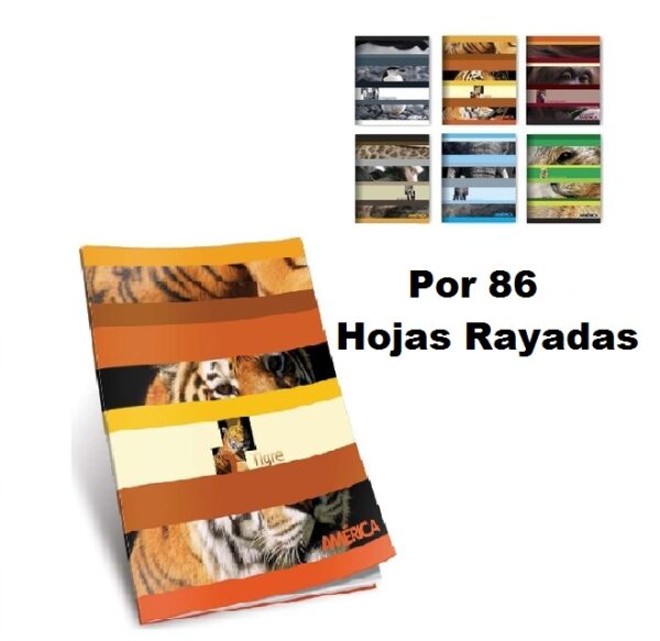 Cuaderno America Tapa Flexible X 86 Hojas Rayado