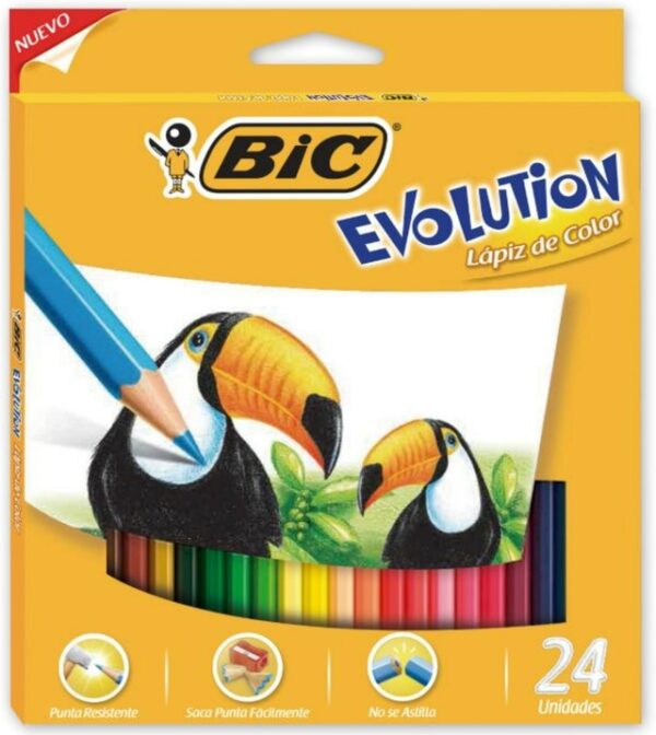 Lapices De Colores Bic x 24 Unidades